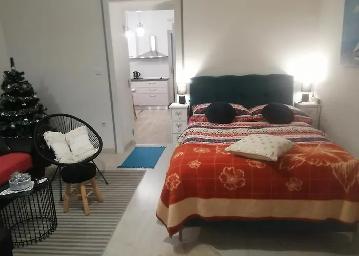 Manuela 公寓 里耶卡