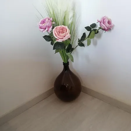 Manuela Apartman